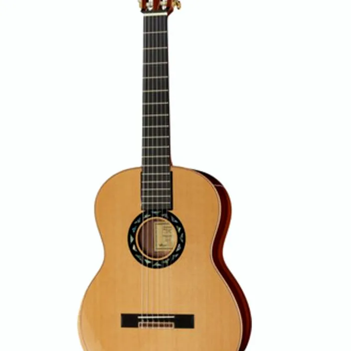 Guitare Journey Instruments FC522