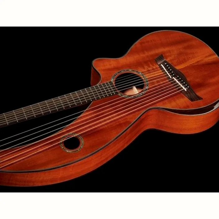 Guitare Timberline Guitars T30HGc-e Harp Guitar / Test et Avis