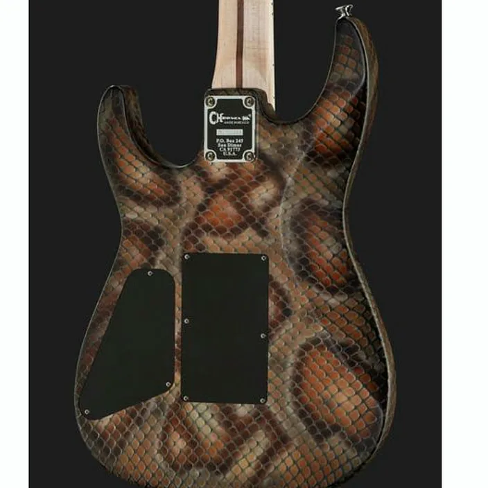 Et Avis Charvel Pro Mod DK WDM Snake
