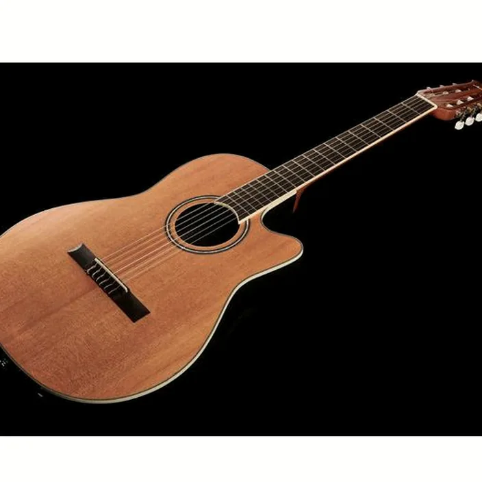 Guitare classique Applause Traditional AB24CC-4S