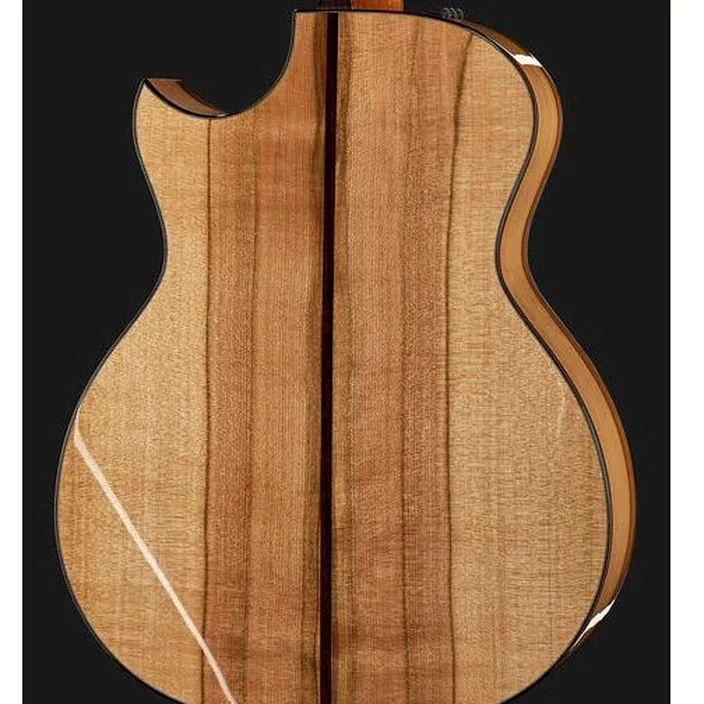 Guitare Acoustique Taylor Custom #10101 Grand Auditorium - Comparatif, Avis & Test
