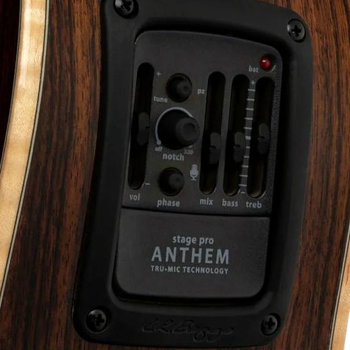 La guitare Acoustique Larrivee Artist Series LV-09E Showroom / Comparatif, Test, Avis