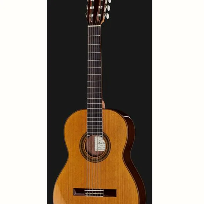 Et Test de la guitare Alberto Hernandez 3-Tinted Sapele Cedar