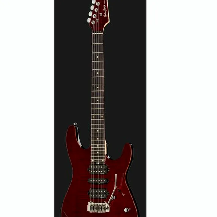 Et Test de la guitare Harley Benton Fusion-III HSH EB FCH Bundle