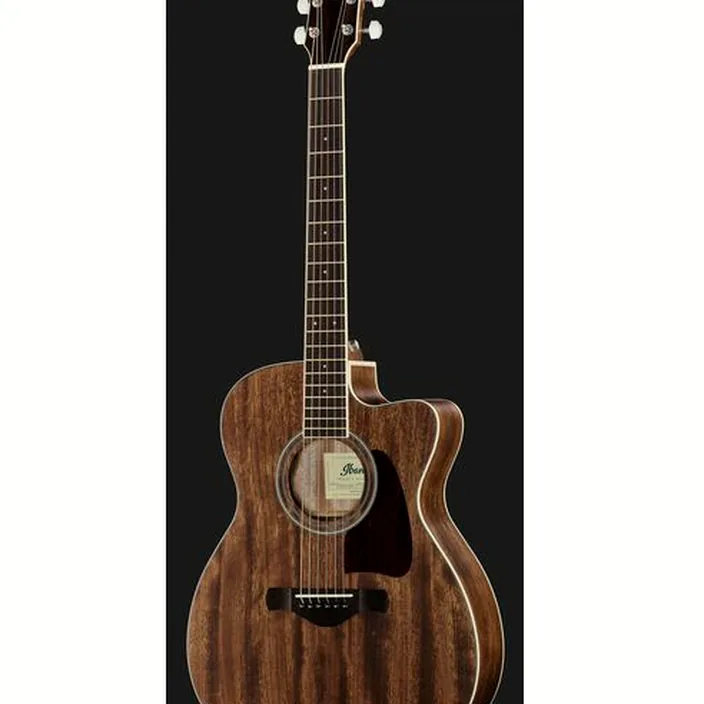 Et Test Guitare Acoustique Ibanez AC340CE-OPN Artwood
