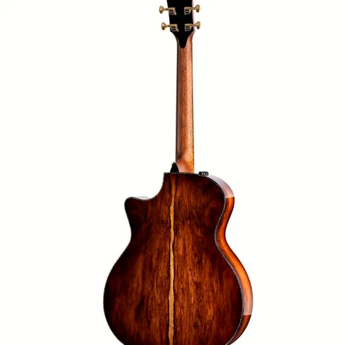 Guitare acoustique Taylor PS14ce Presentation 21