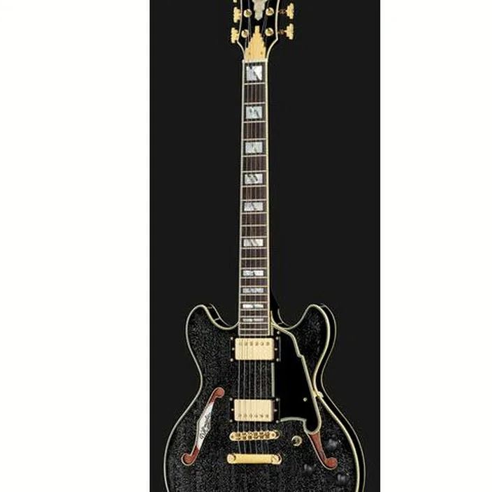 Guitare électrique DAngelico Excel Mini DC Black Dog