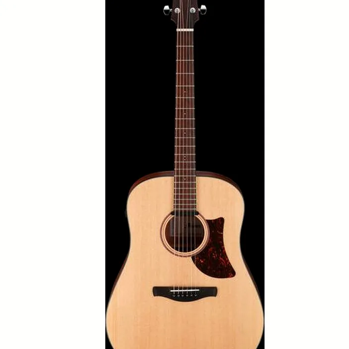 Guitare Ibanez AAD100E-OPN