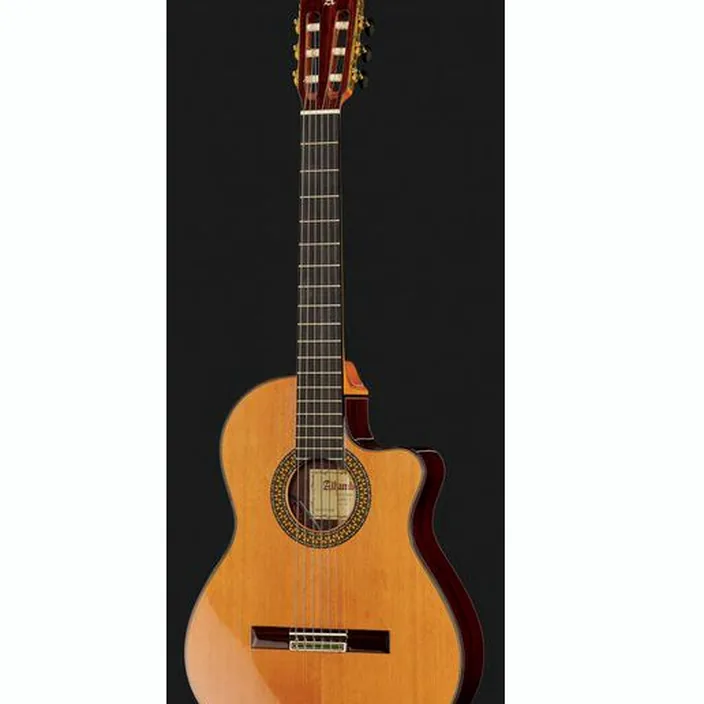 Guitare classique Alhambra 9P CW E8 w/Case