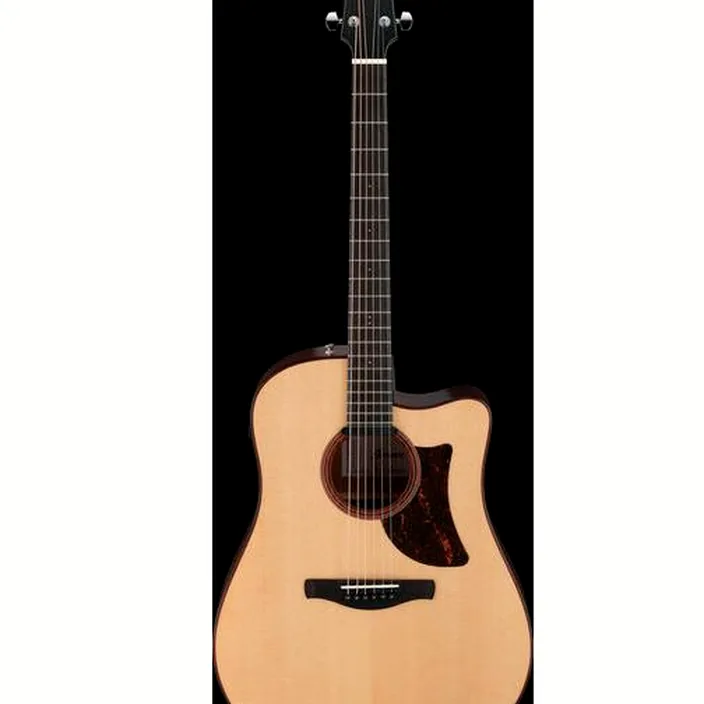 Guitare Ibanez AAD300CE-LGS