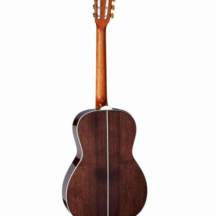 Guitare Takamine GY51ENAT
