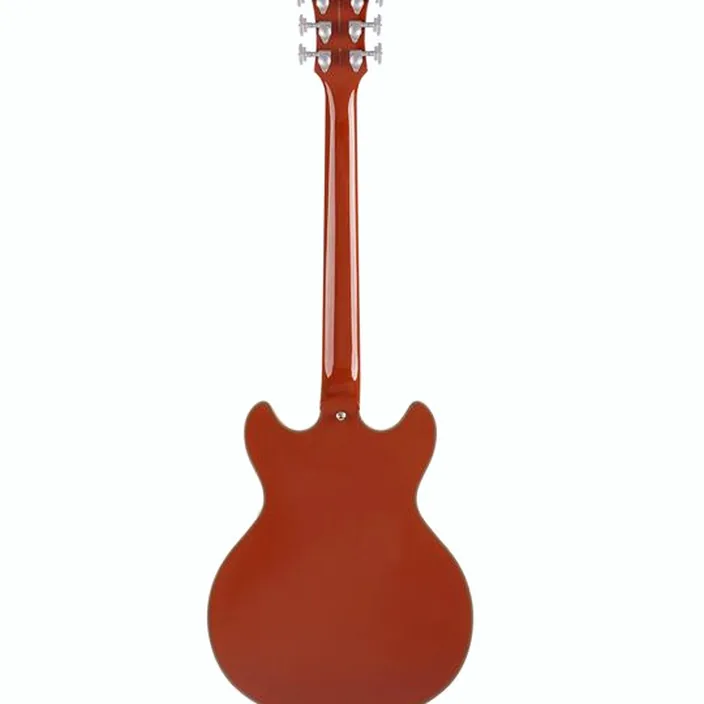 DAngelico Deluxe Mini DC LE Rust , Avis, Test