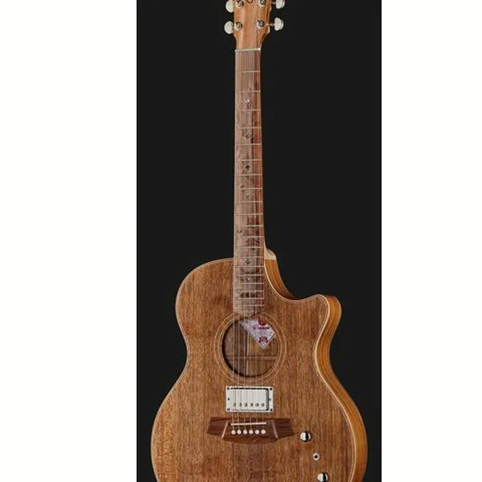 Guitare Cole Clark TL2EC-BLBL-HUM - Comparatif, Avis & Test