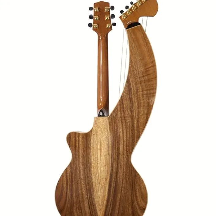 La guitare Acoustique Timberline Guitars T60HGc-e Harp Guitar , Comparatif, Avis et Test