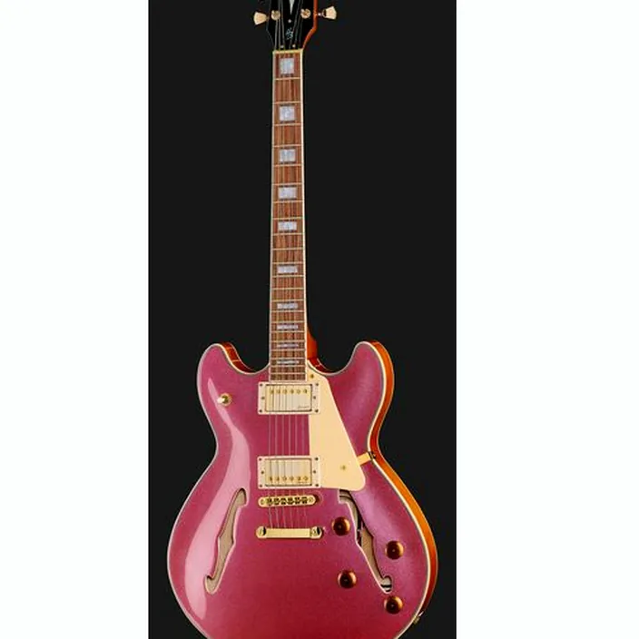 La guitare électrique Harley Benton HB-35Plus Metallic Plum Bundle / Avis, Test, Comparatif