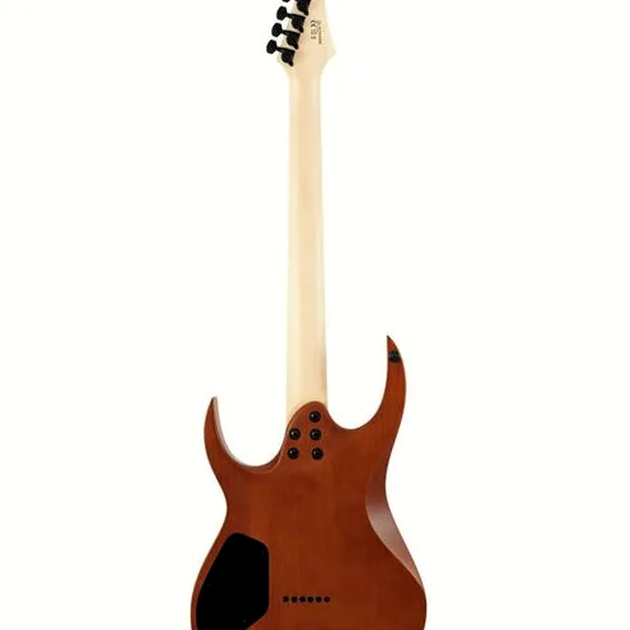 La guitare électrique Solar Guitars SB1.6HFG Flame Green Matte Test, Comparatif & Avis