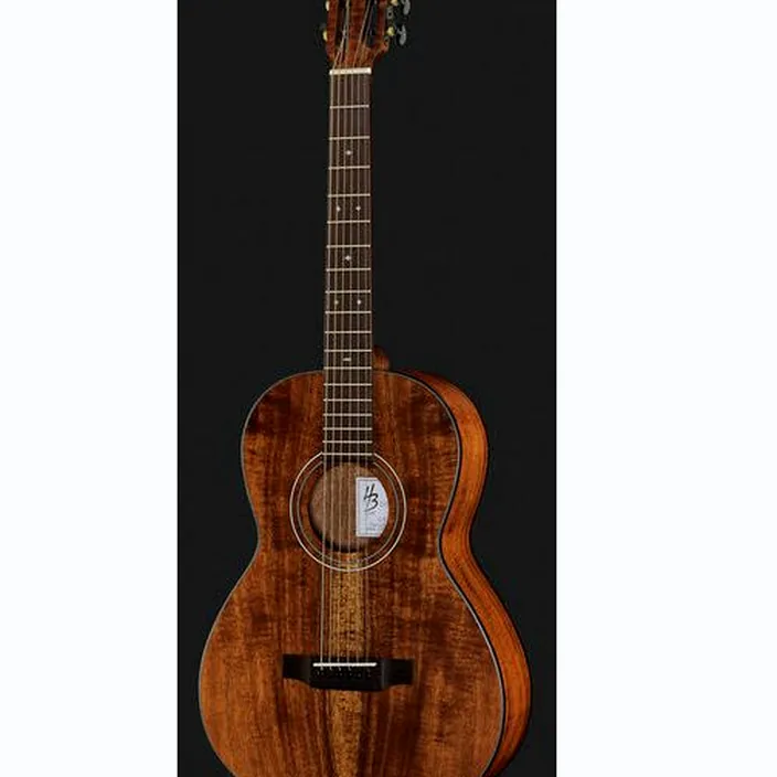 La guitare Harley Benton CLP-15E Flame Koa Exotic Avis, Test