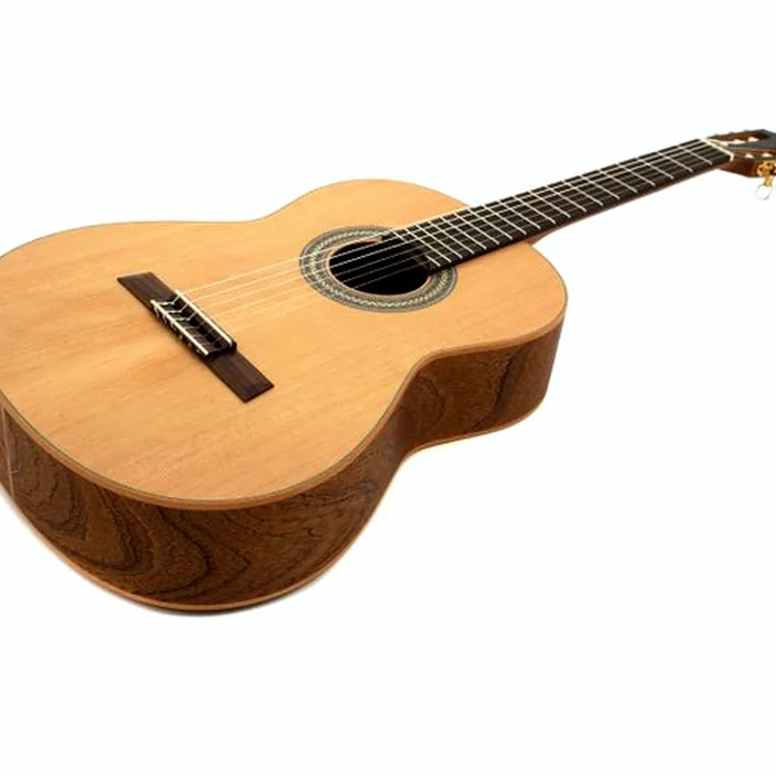La guitare Höfner HML-FLZ , Test, Comparatif et Avis