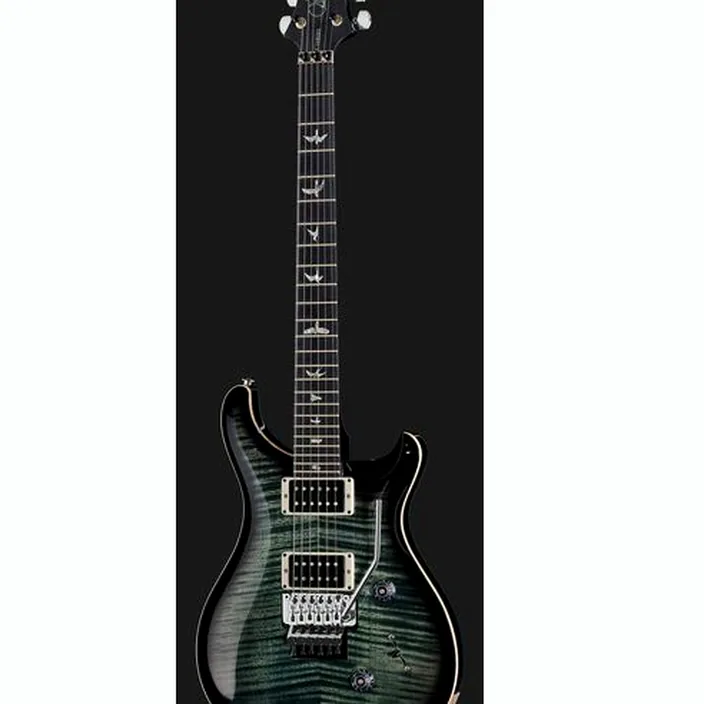 PRS Custom 24 Floyd TG Smokeburst : Avis, Comparatif, Test