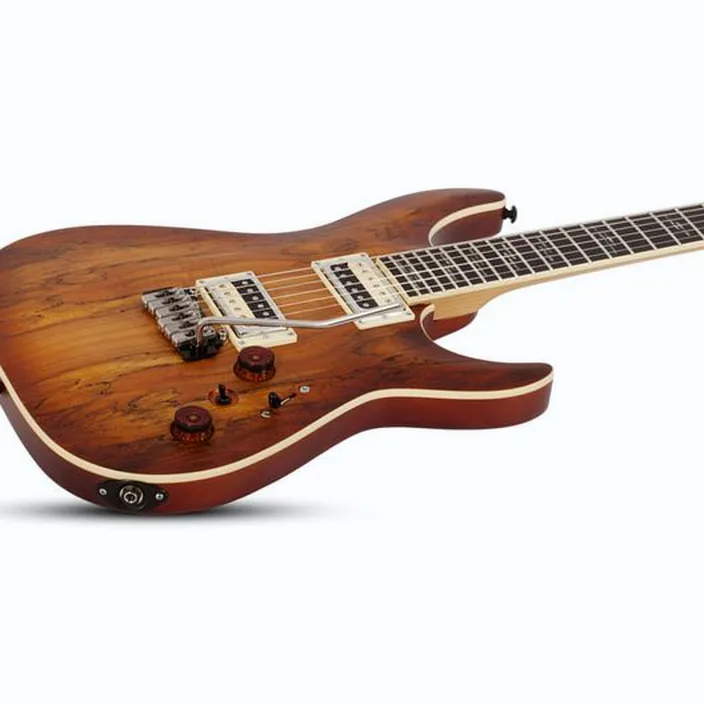Schecter C-1 Exotic Spalted Maple SNVB : Avis, Comparatif & Test