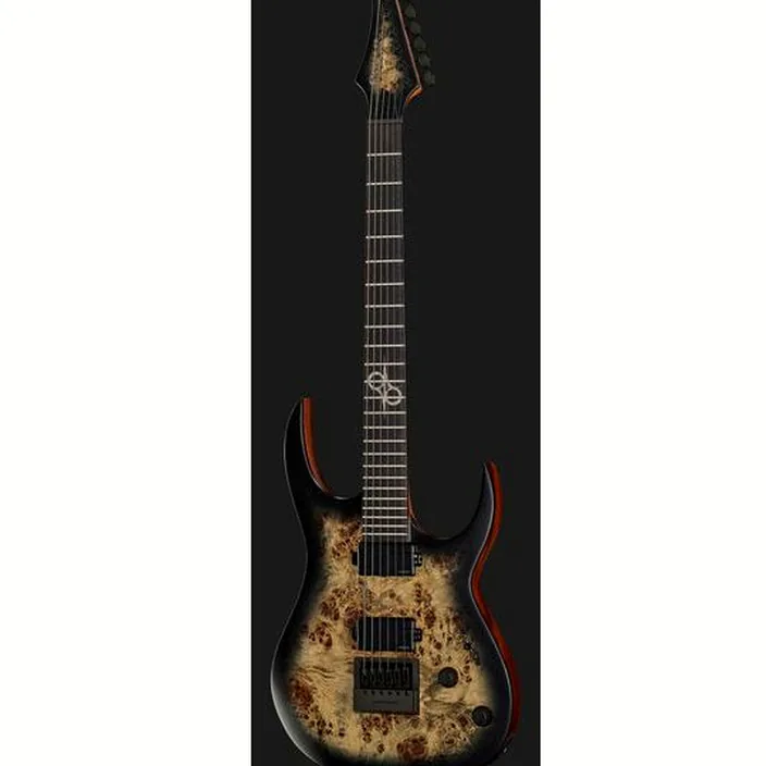 Solar Guitars S1.6APB Test, Comparatif et Avis