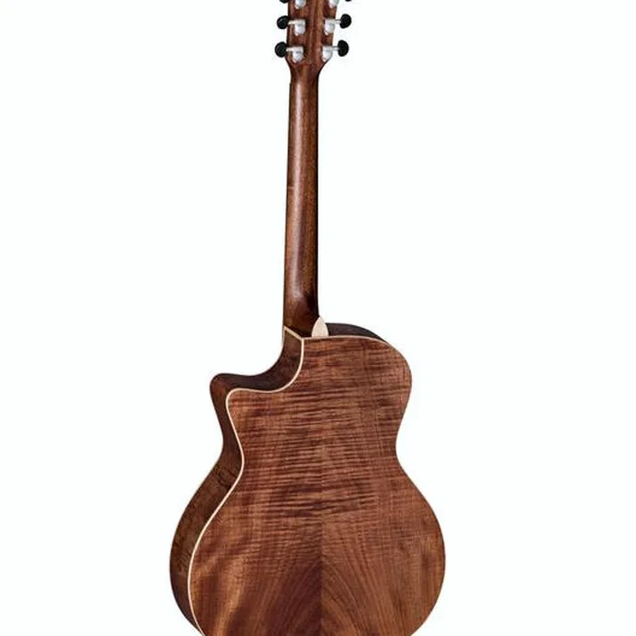 Guitare acoustique Baton Rouge AR61S/ACE