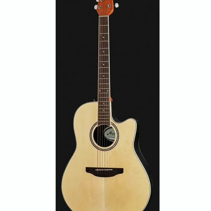 Guitare Acoustique Applause Traditional AB24-4S