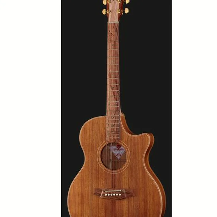 Guitare Acoustique Cole Clark TL2EC-BLBL Thin line