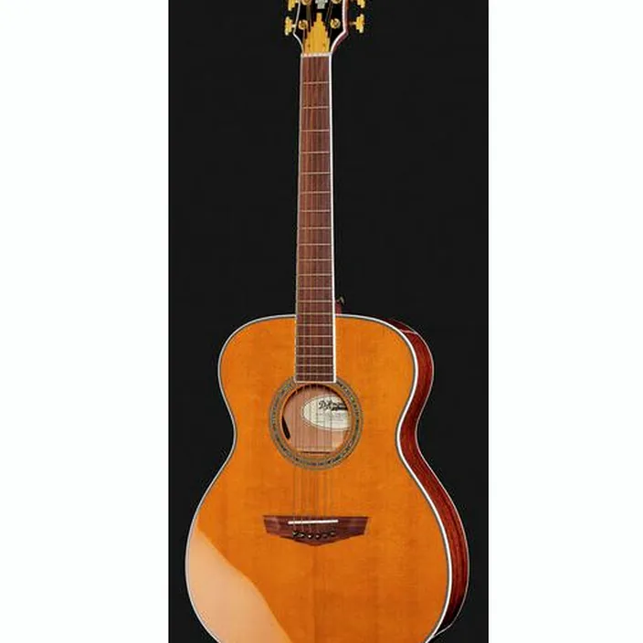 Guitare Acoustique DAngelico Excel Tammany XT VNT