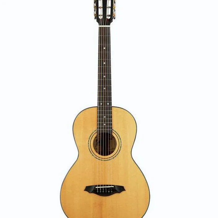 Guitare Acoustique Framus Legacy Series FP 14 SV Parlor
