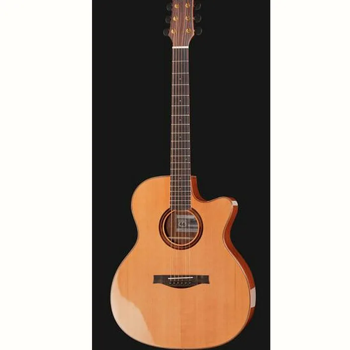 Guitare acoustique Stanford 46-G3-SO-ECW