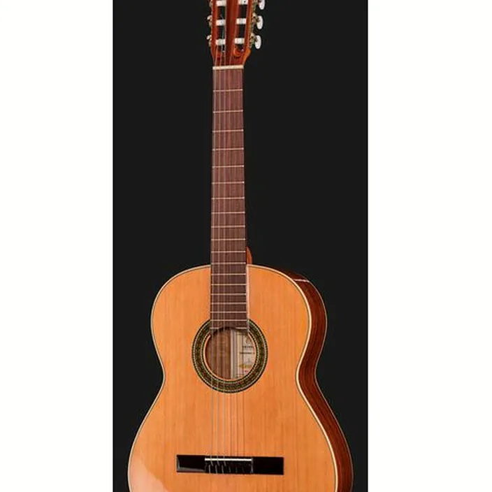 Guitare Classique Ortega R220