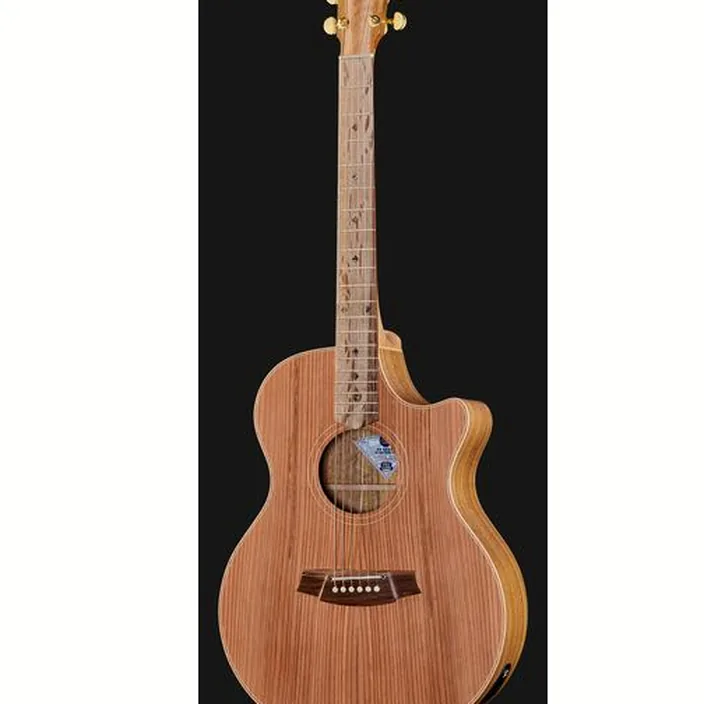 Guitare Cole Clark AN2EC-RDBL