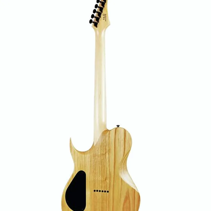 Solar Guitars T2.6N-Natural Matte
