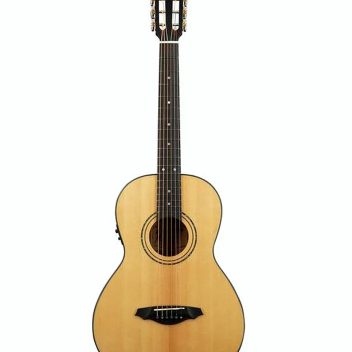 Et Avis de la guitare Acoustique Framus Legacy FP 14 SV Parlor EQ NT