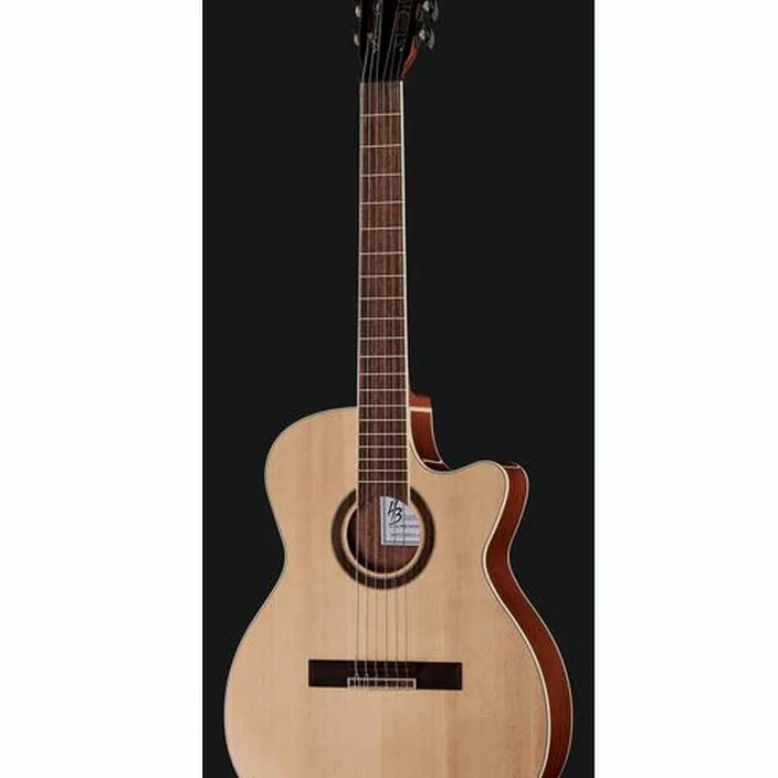 Et Avis de la guitare Harley Benton Santos Series C-40SCE N w/Bag