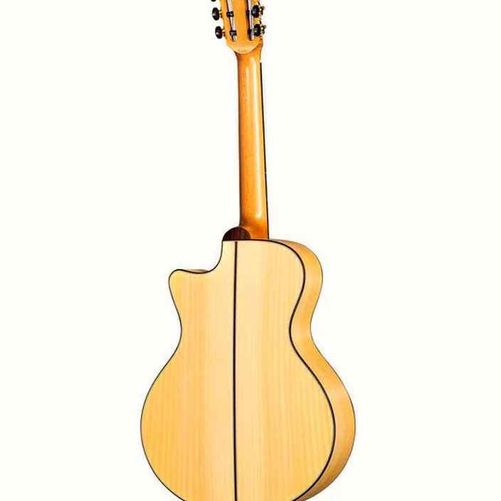 Et Avis Guitare classique Lakewood A-36 CP Crossover