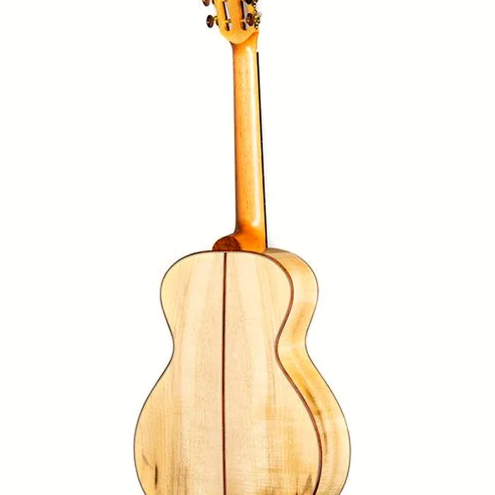 Et Avis Guitare Lakewood C-52 Edition 2022