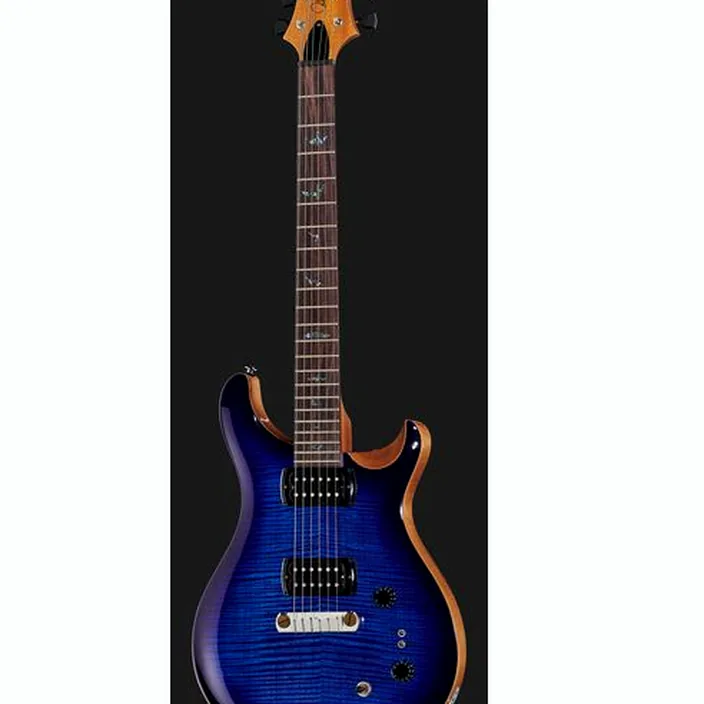 Et Avis PRS SE Pauls Guitar DC