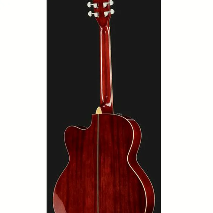 Et Test Guitare acoustique Larry Carlton A4-G VS