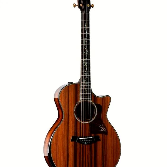 Guitare acoustique Taylor PS14ce Presentation 21
