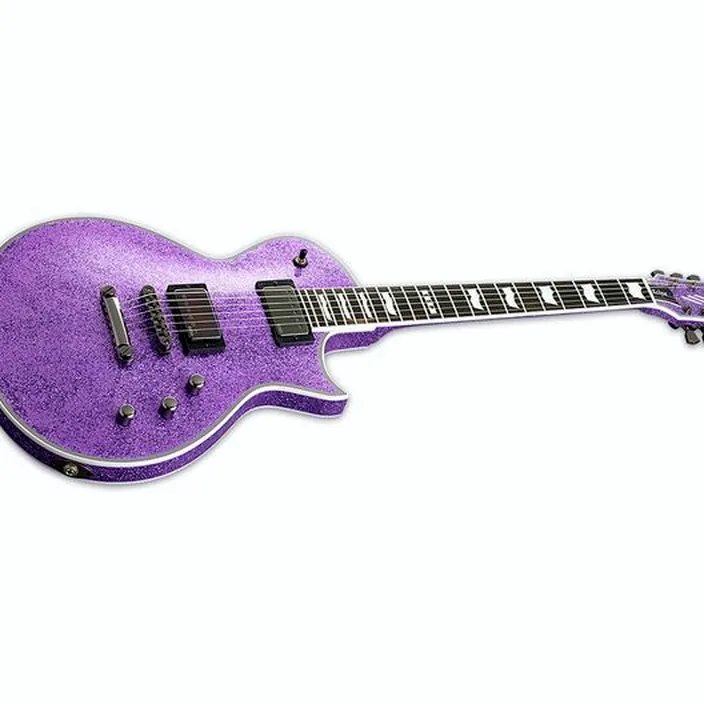Guitare électrique ESP E-II Eclipse DB PSP
