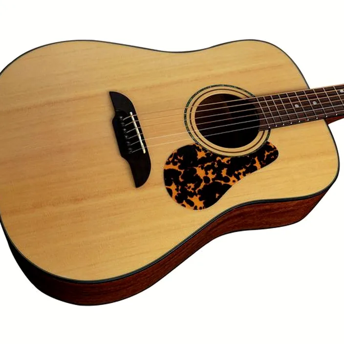 Guitare Acoustique Framus FD 14 SV Dreadnougth VTSN