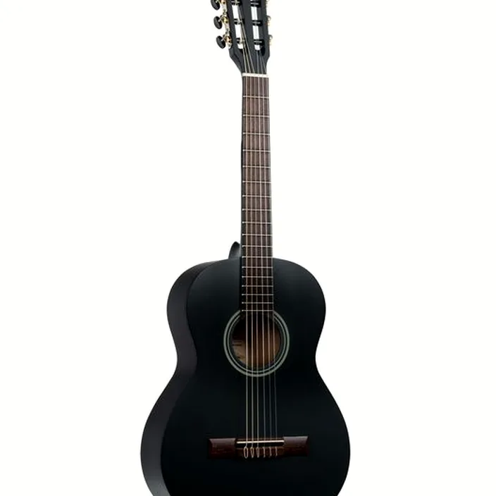 Guitare classique Ortega RST5M-3/4BK