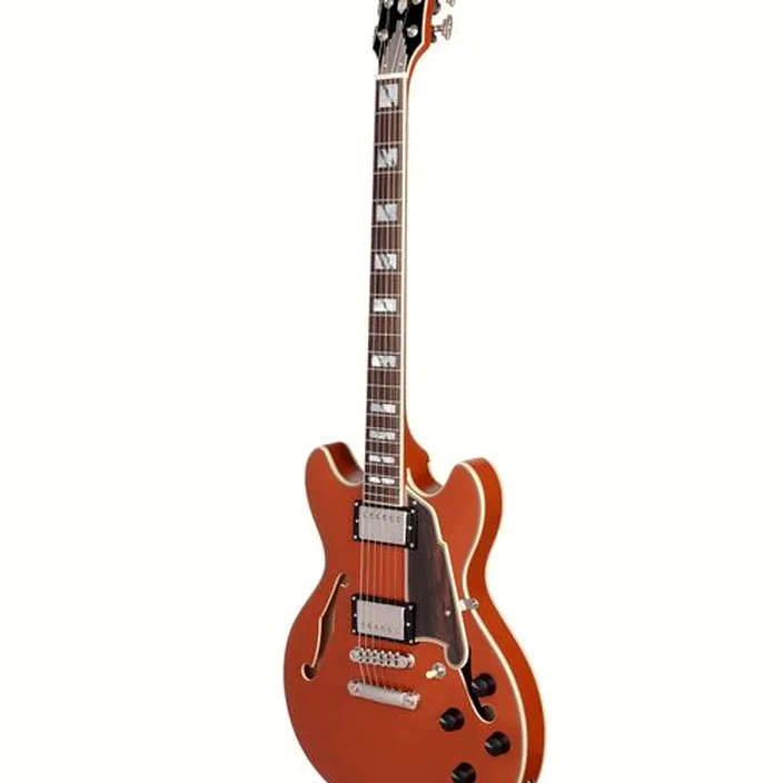 DAngelico Deluxe Mini DC LE Rust , Avis, Test