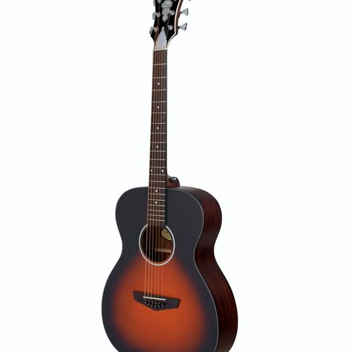 Guitare Acoustique DAngelico Premier Tammany LS SVSB : Avis, Comparatif & Test