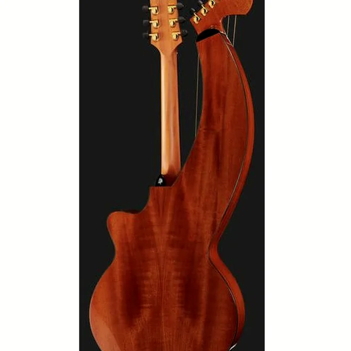 Guitare Timberline Guitars T30HGc-e Harp Guitar / Test et Avis
