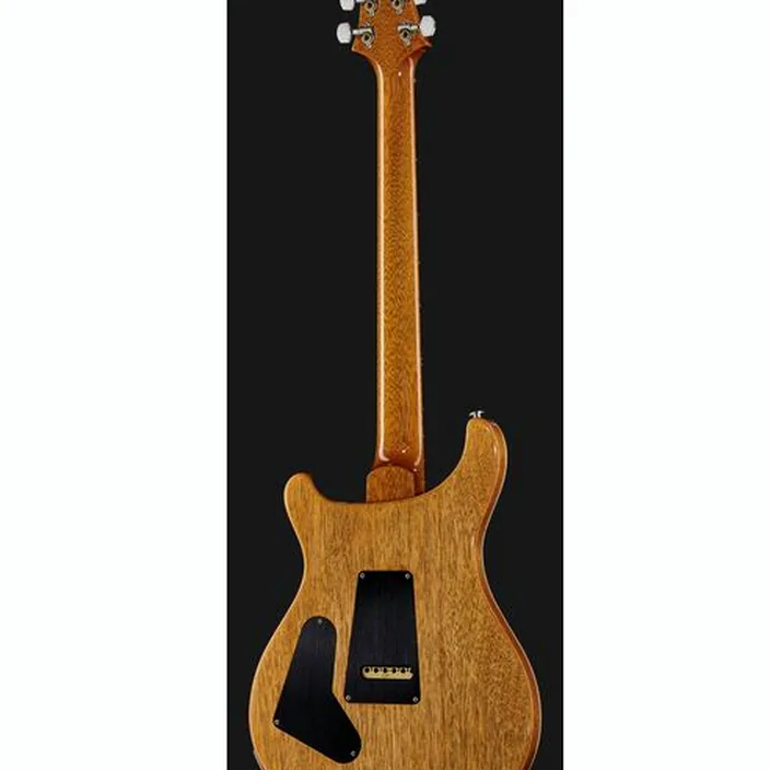 PRS Custom 24 ED , Comparatif, Avis et Test