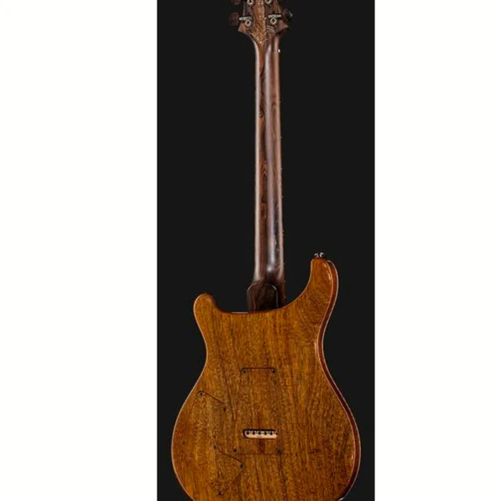 PRS Private Stock Modern Eagle V : Test, Comparatif, Avis