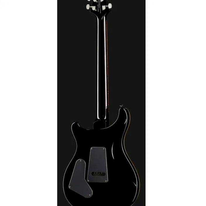 PRS SE Custom 24 BG - Comparatif, Test, Avis